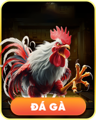 anh-da-ga1-
